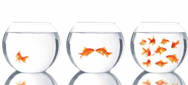 arrangements-financiers-assurance-collective arrangements-financiers-assurance-collective