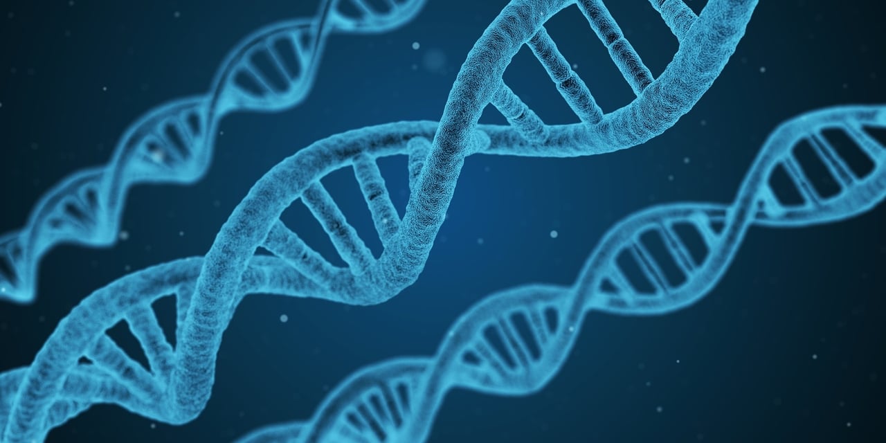 Pharmacogenetics A Huge Potential For Employees Health